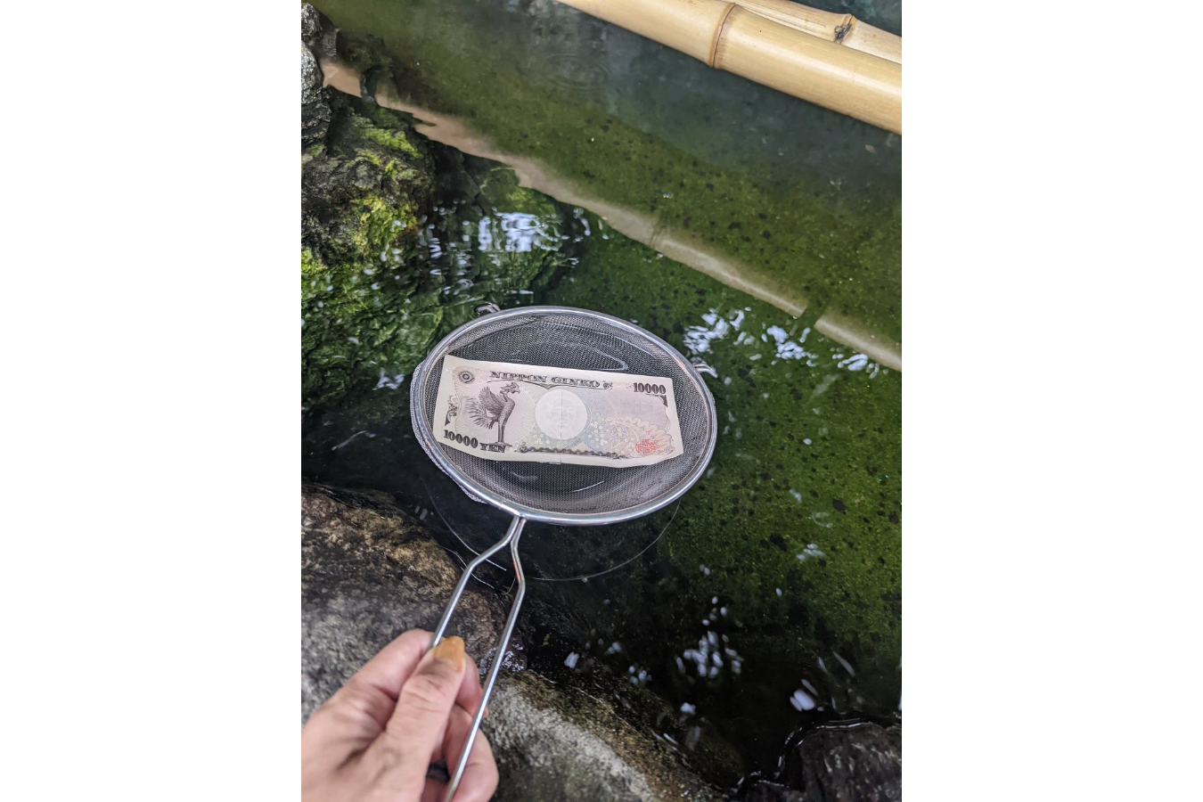 ▲銭洗弁財天の宝池で資金洗浄させていただきました。