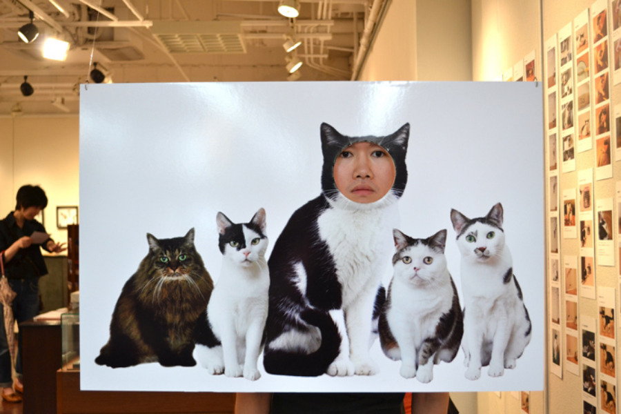 ▲イベントの時にしょっちゅう顔ハメ看板が置かれるパルコさん。こちらはネコの写真展にて、吊り下げタイプ。