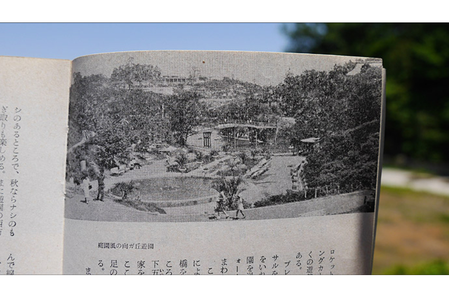 ▲1968年の向ヶ丘遊園