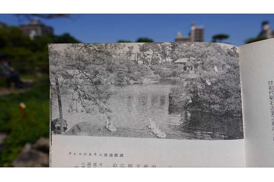 ▲1986年の清澄庭園