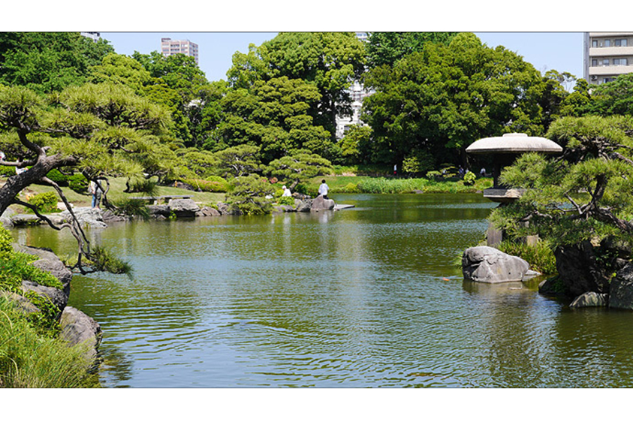 ▲2015年の清澄庭園