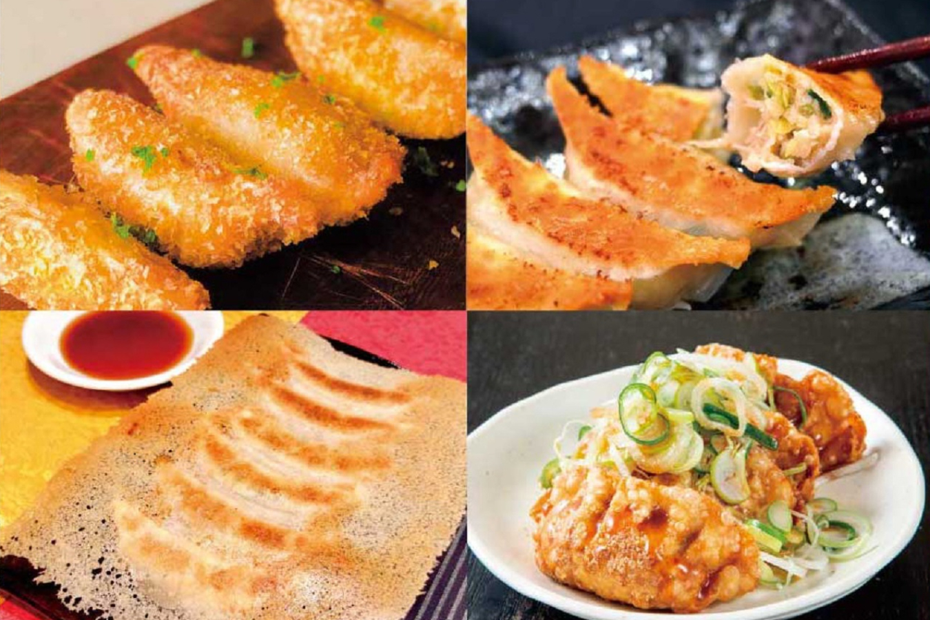 ▲第1回の「クラフト餃子フェス」は2022年のGWに東京と大阪の2都市で同時開催。36万人を集客