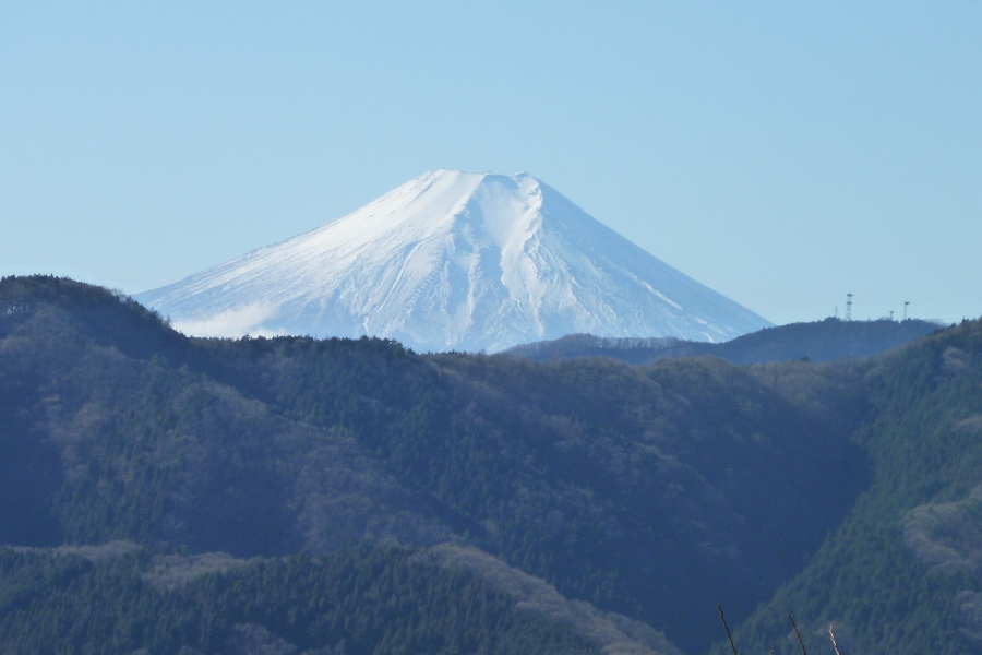 ▲浅間嶺から見た富士山/写真提供・檜原村観光協会