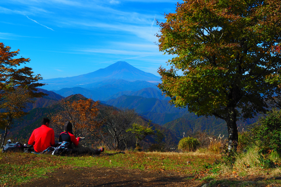 ▲鍋割山山頂(11月上旬)/写真提供・秦野市観光協会