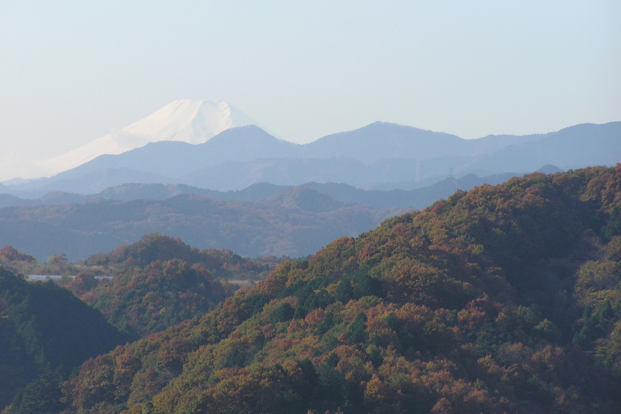 ▲天覧山頂上からの眺め/写真提供・奥むさし飯能観光協会