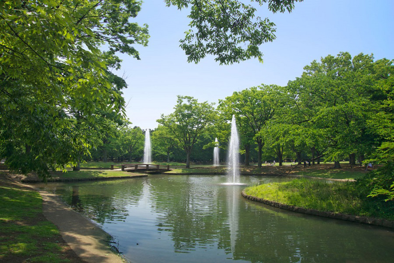 ▲写真提供:公益財団法人東京都公園協会
