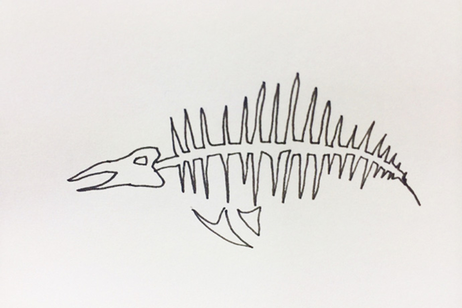 ▲知ってる生き物も。これはバンドウイルカ