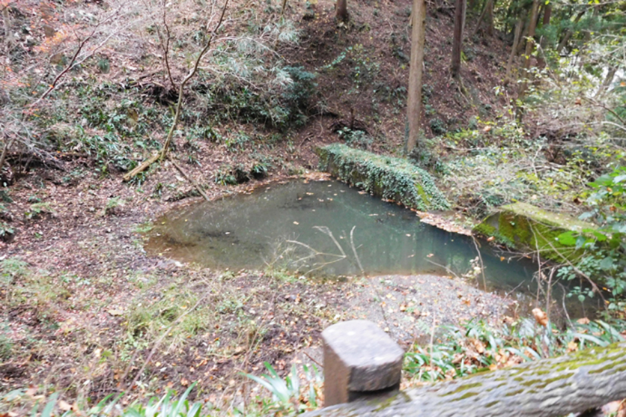 ▲徒歩で下山中に見かけた微妙な沼。ケーブルカーより自然を満喫できた気がします。