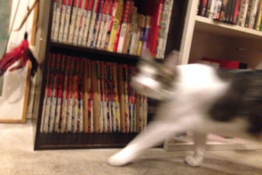 ▲カメラを向けられるのが嫌いな“イチロー”。ほとんどの写真がブレる