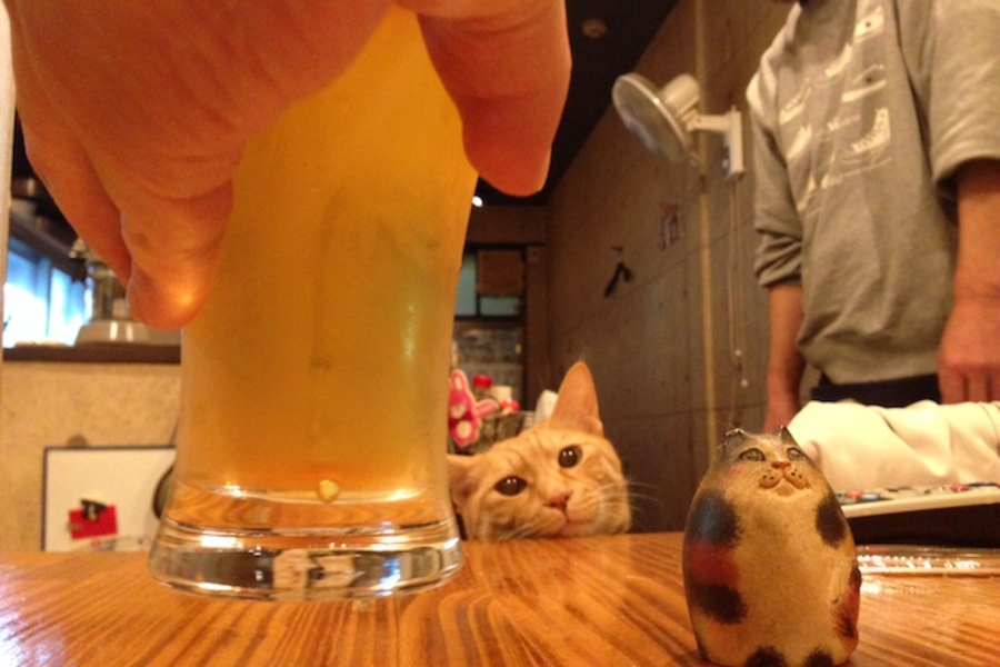 ▲営業部長にかんぱーい!