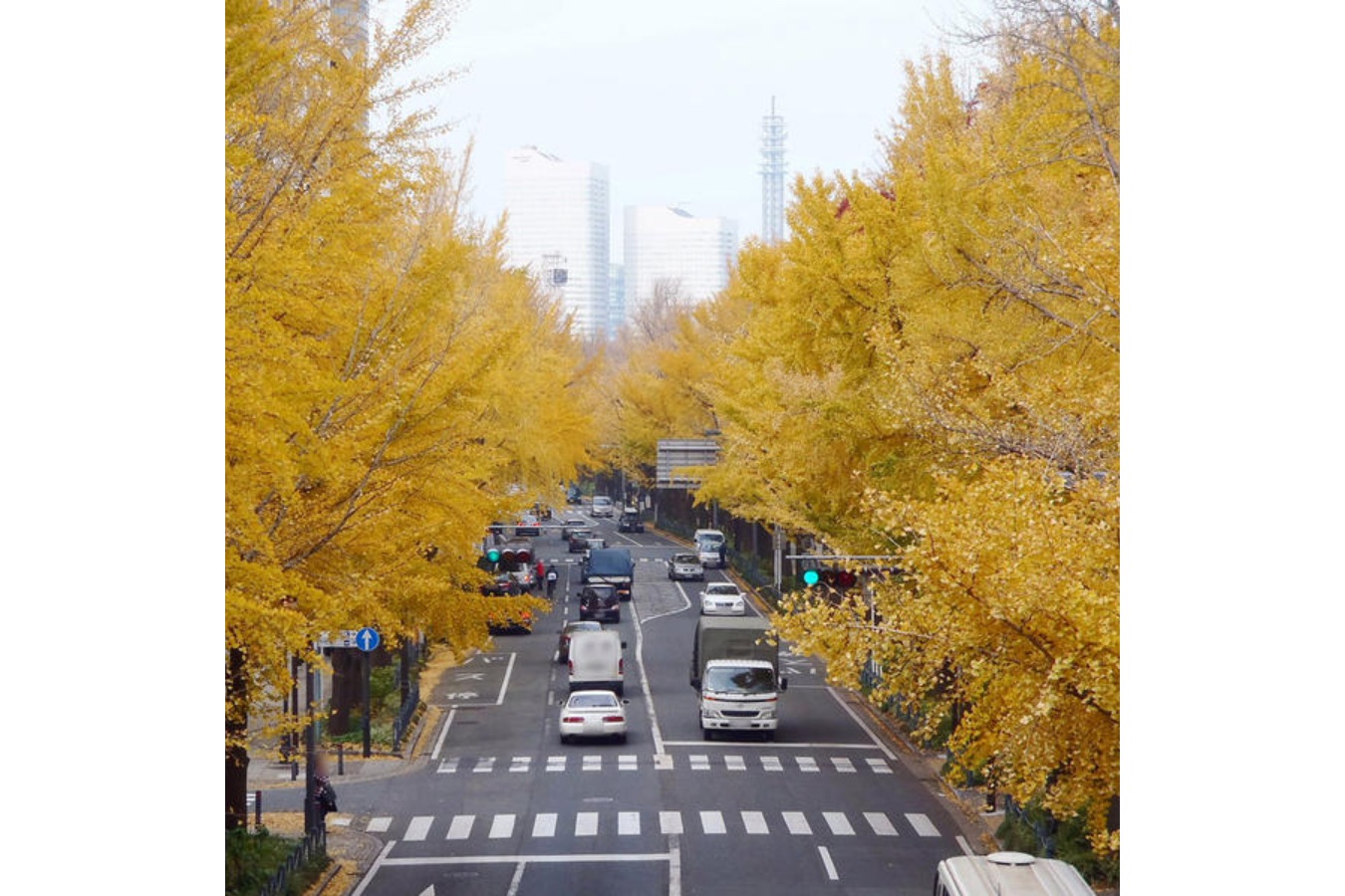 山下公園通り