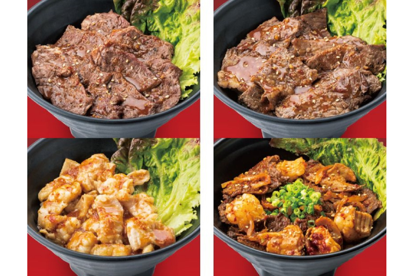 左上から順に「ハラミ丼」「ロース丼」「ホルモン丼」「ミックス丼」(すべて並盛)