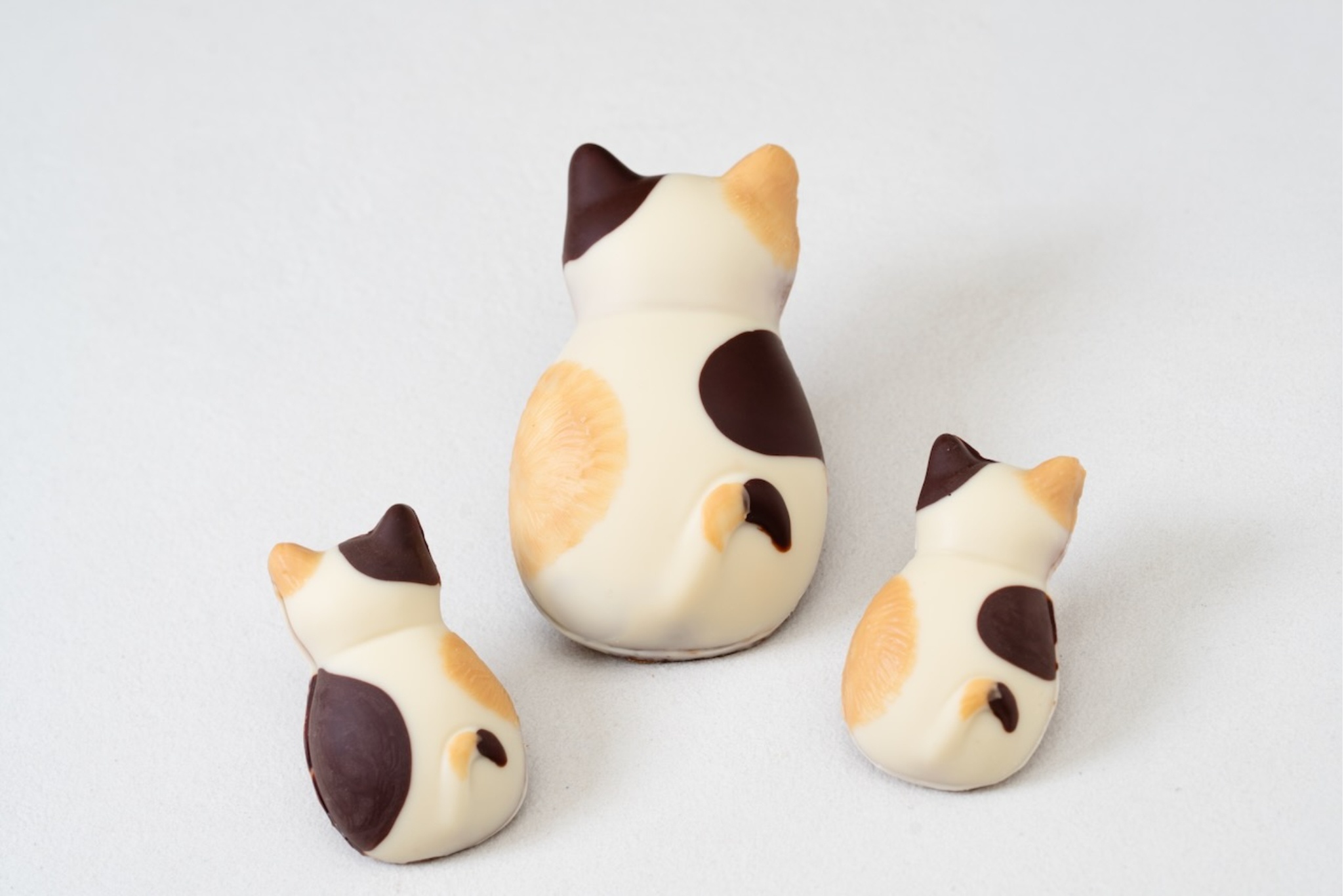 “猫型フィナンシェ”が人気！焼き菓子専門店「ブラウン タビー」2号店が本所吾妻橋にオープン