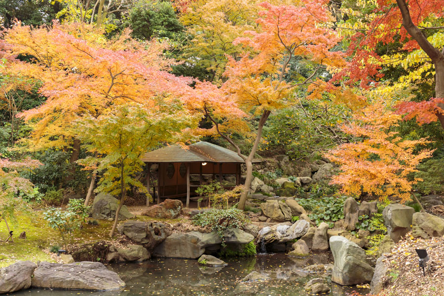 六義園