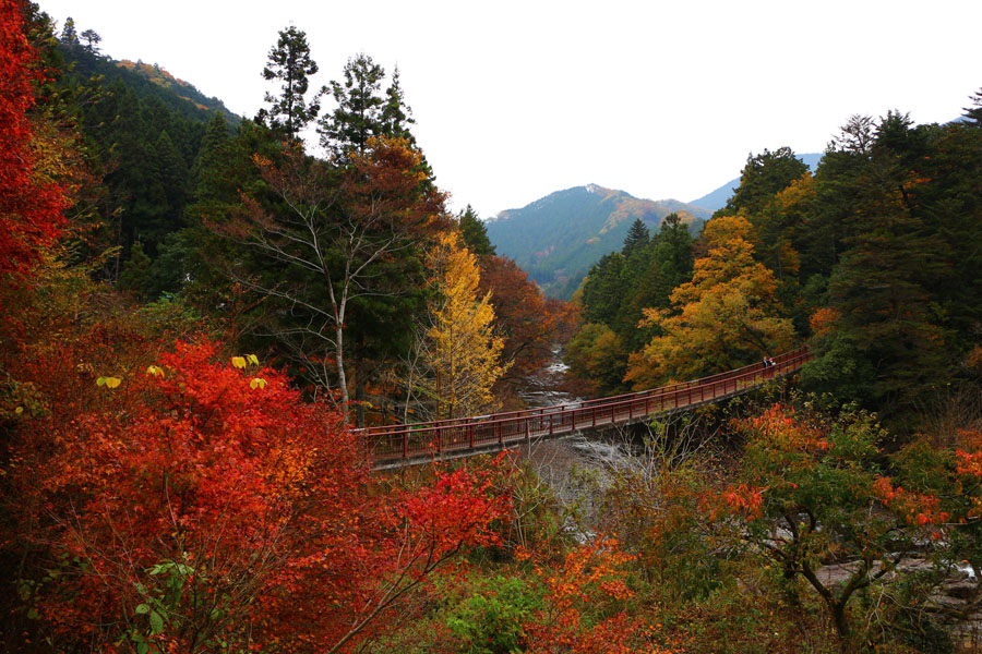 秋川渓谷