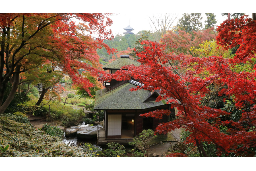 三溪園
