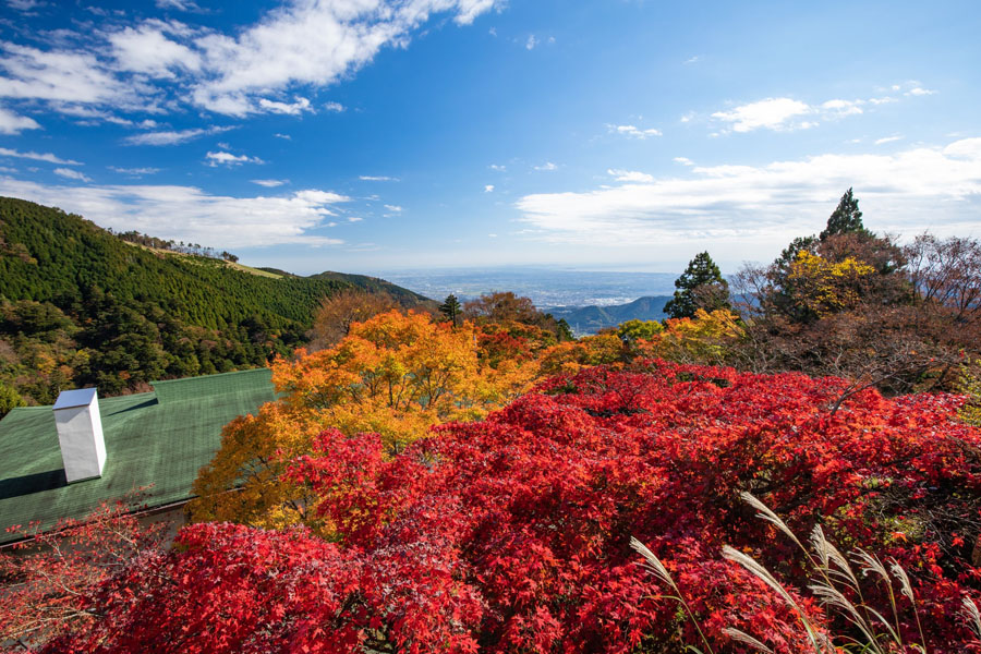 大山寺・阿夫利神社周辺