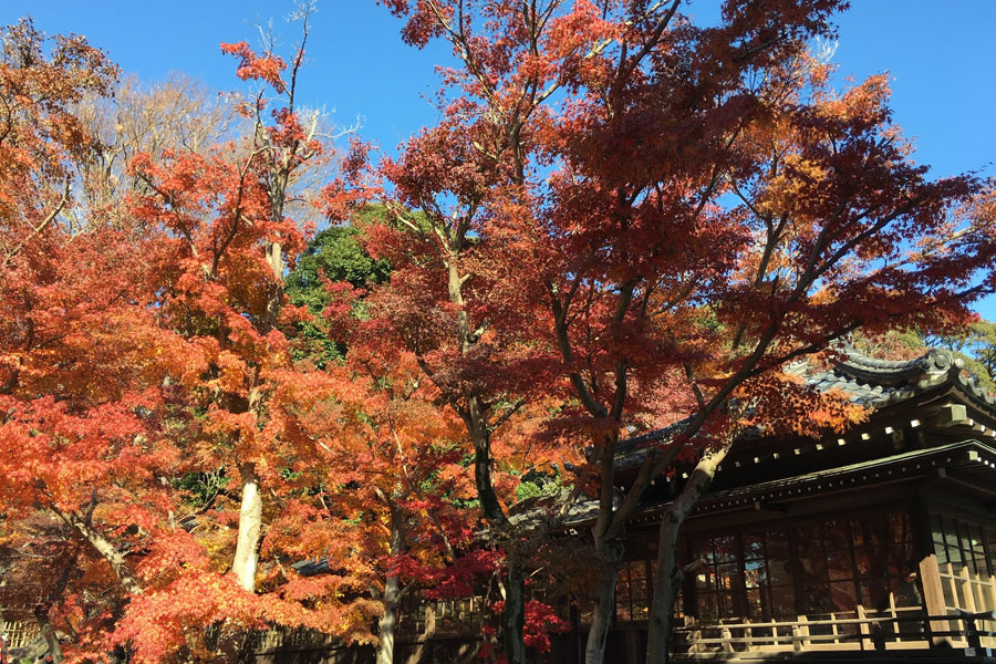 本土寺