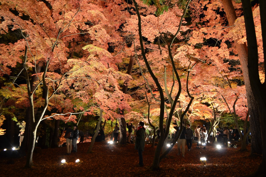 月の石もみじ公園