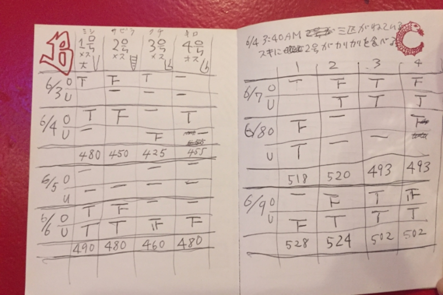 ▲見せてくれた当時の手帳。愛が伝わるO&U記録。しっぽの見分け方、わかりやすい!
