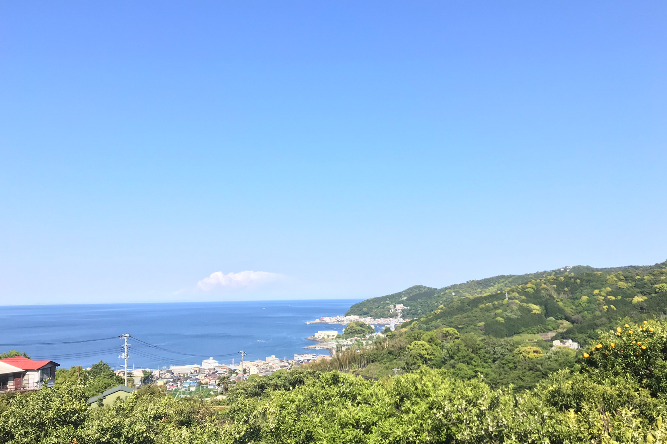 ▲提供:熱海市