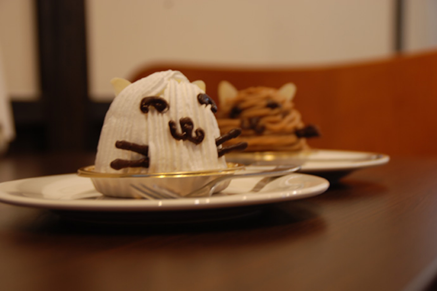 ▲おすすめの白猫のレアチーズケーキ&黒猫のモンブラン。手作りのスイーツが豊富