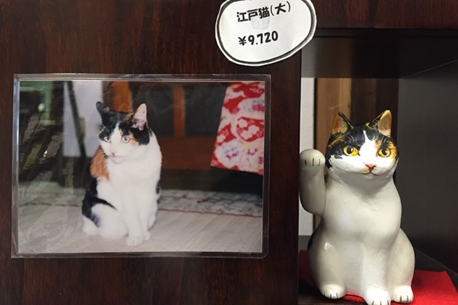 ▲26歳のネコ“きいちゃん”をモデルにつくられた招き猫