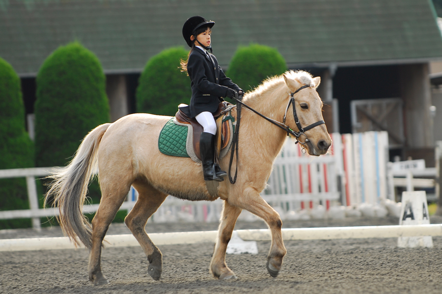 夏休み 子どもと一緒に楽しく乗馬体験 話題のライディングスポット3選 レッツエンジョイ東京 夏休み 子どもと一緒に楽しく乗馬体験 話題のライディングスポット3選 レッツエンジョイ東京
