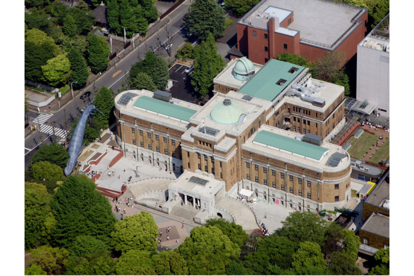 ▲写真提供:国立科学博物館