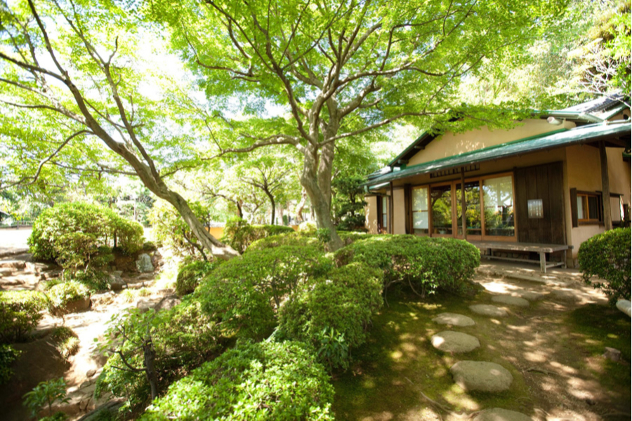 等々力渓谷公園