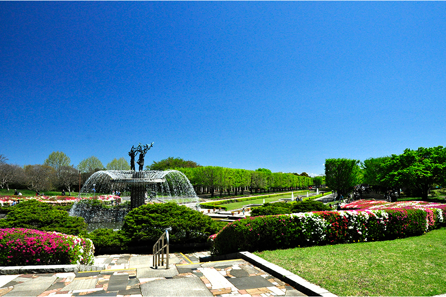 国営昭和記念公園