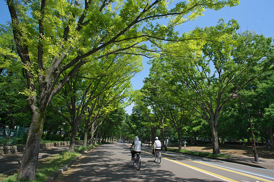 駒沢オリンピック公園