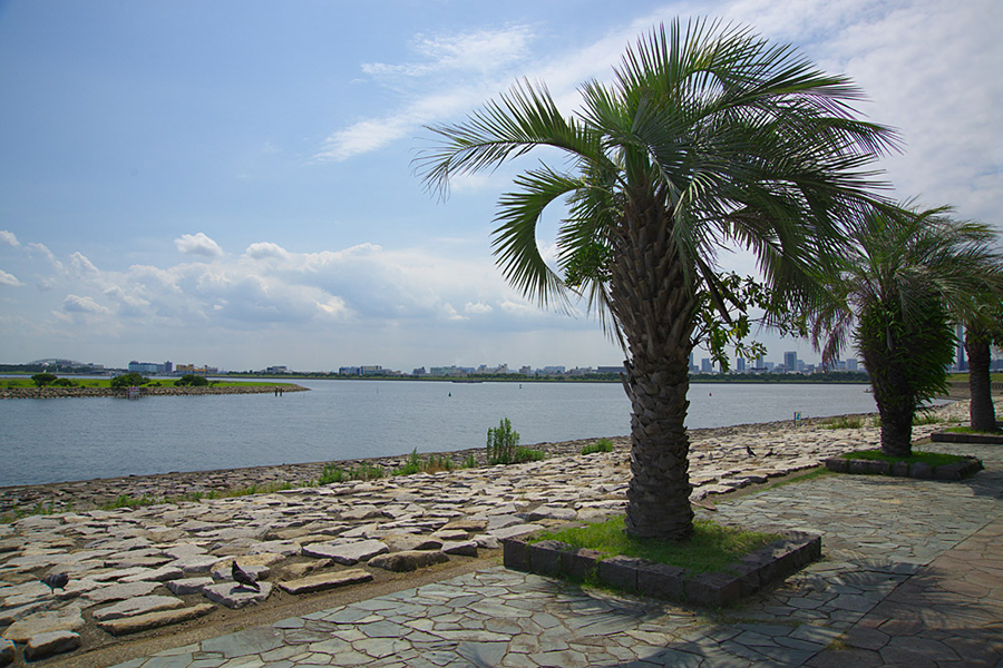 葛西臨海公園