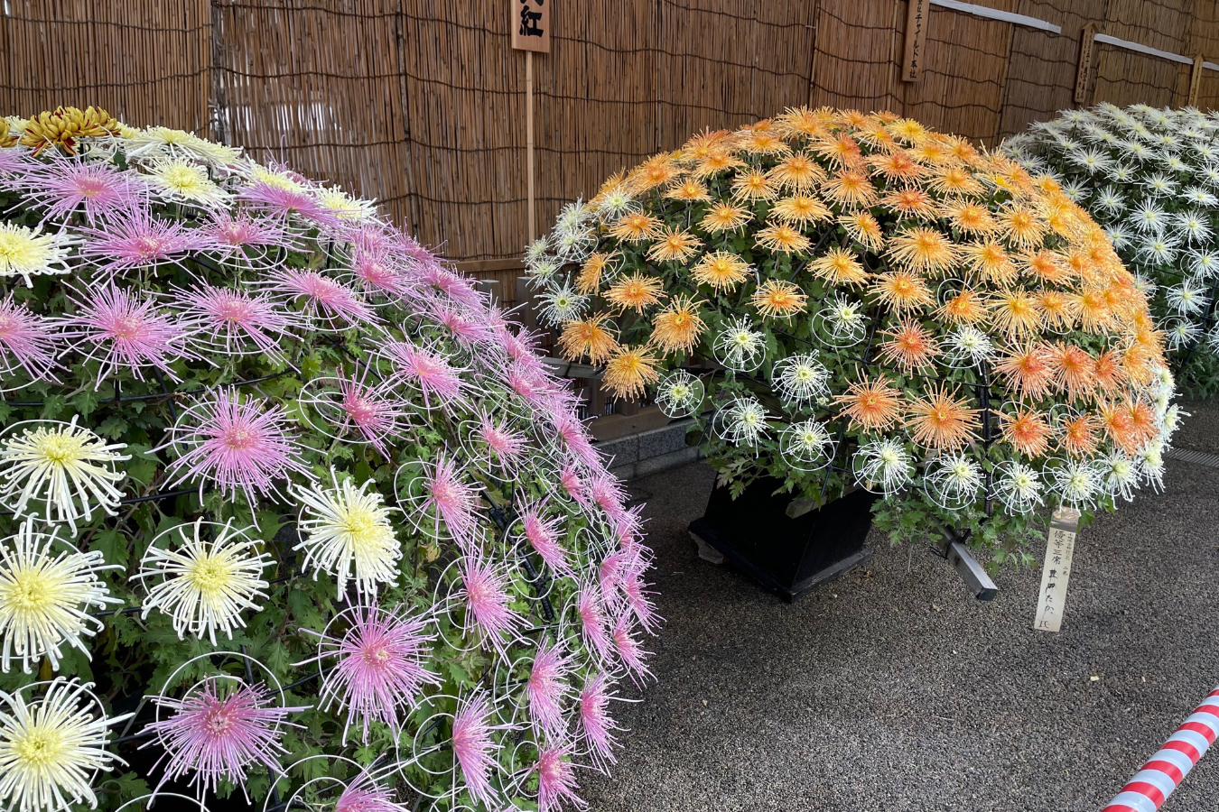 ▲写真提供:文京区
