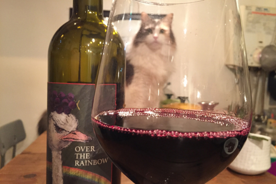 ▲A cat in the glass. (とりあえず英語で言ってみた)ほろ酔いで、グラスの中で小さなネコを飼えたらな、と絵本みたいな妄想