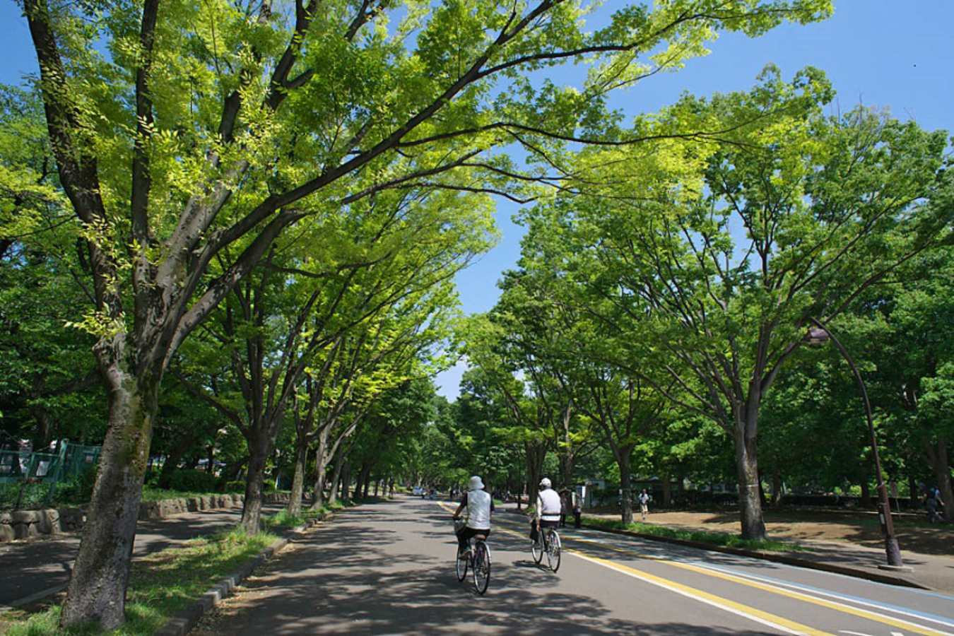 駒沢オリンピック公園