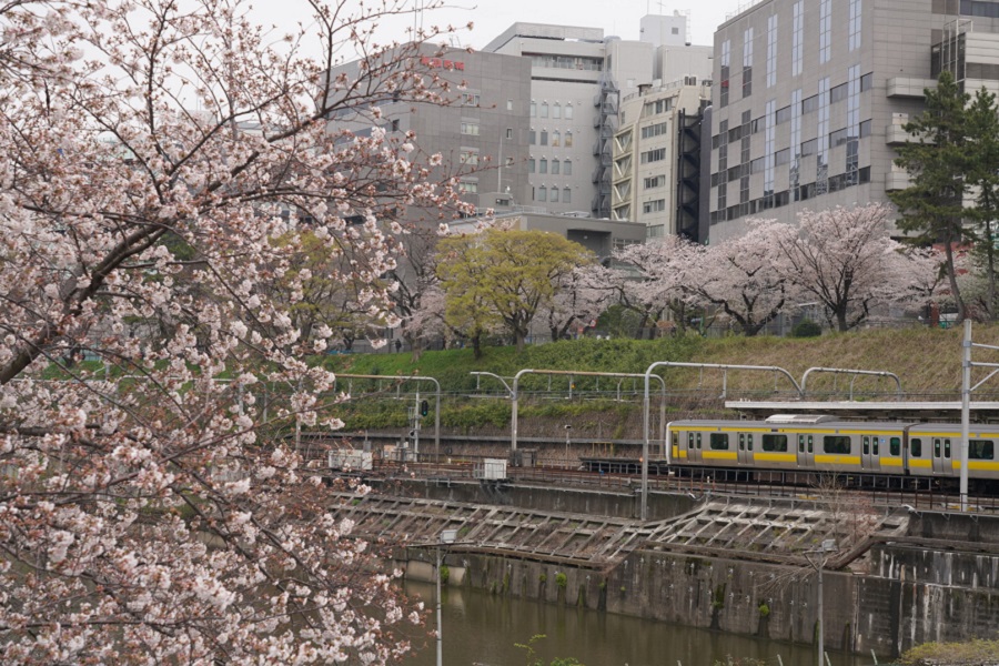 ▲2020年以前に撮影した写真です