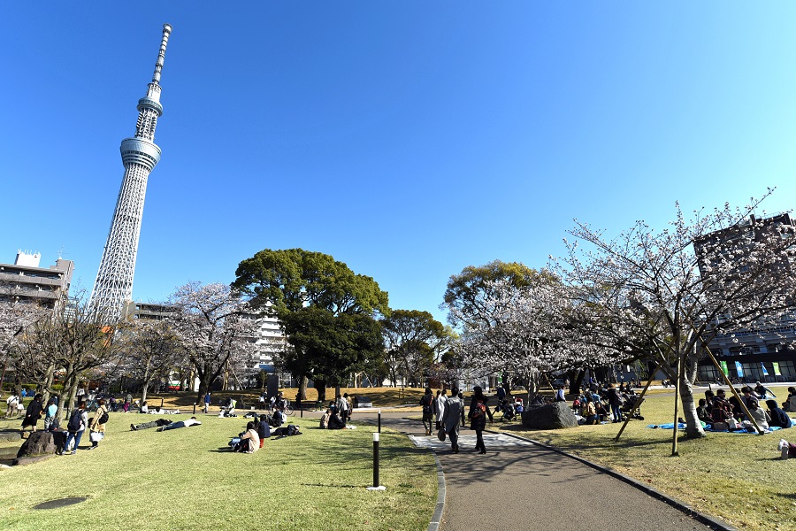 ▲2020年以前に撮影した写真です
