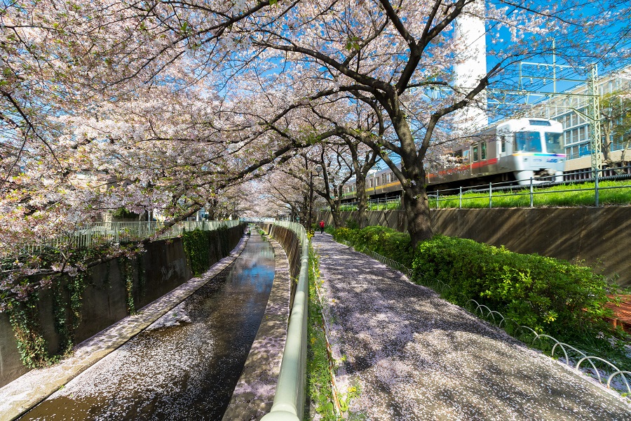 ▲2020年以前に撮影した写真です