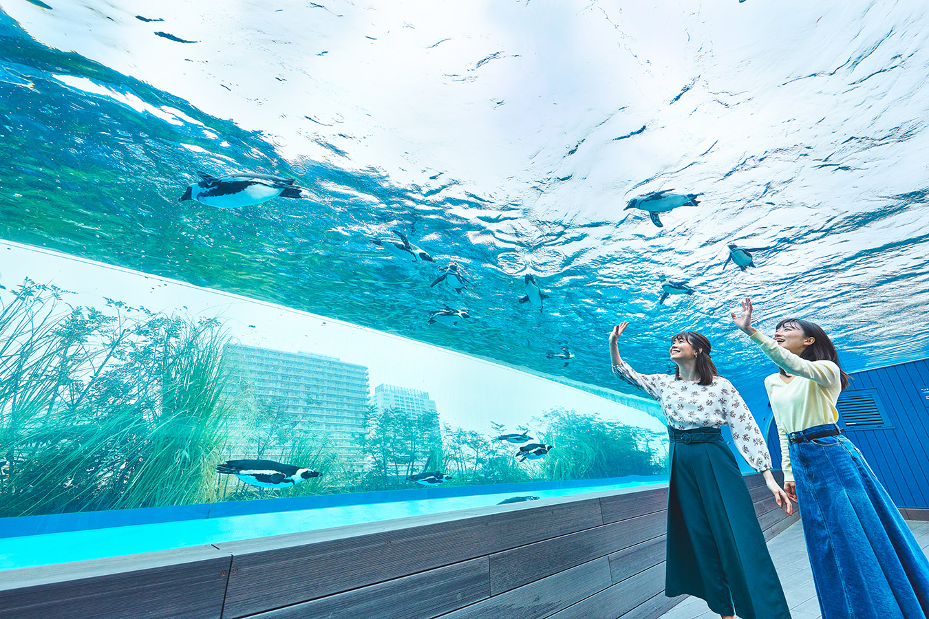 ▲“空飛ぶペンギン”の呼び名で親しまれている「サンシャイン水族館」の「天空のペンギン」
