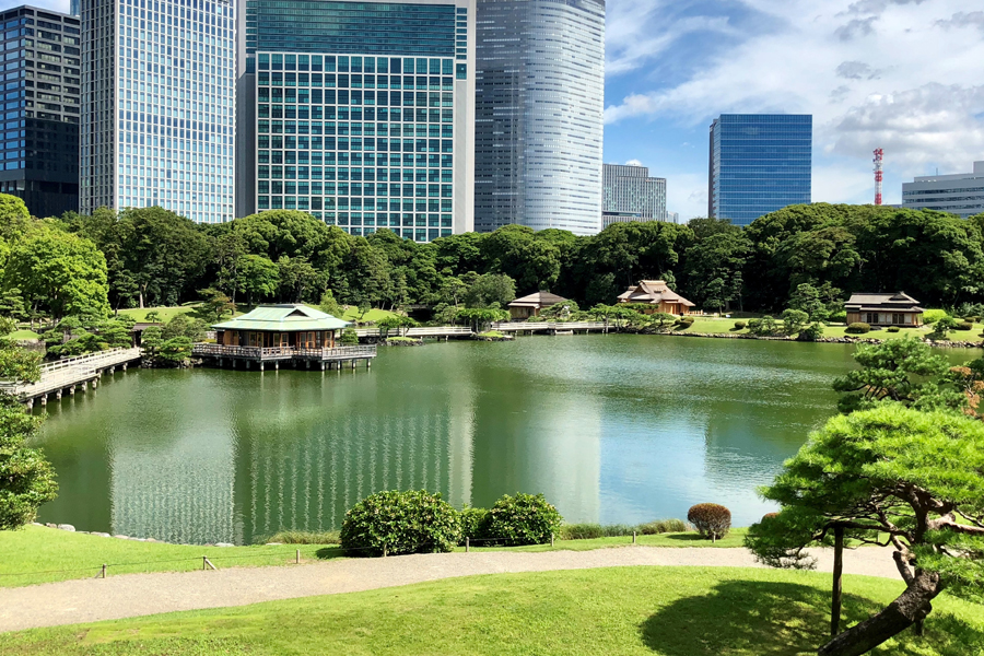 ▲写真提供:公益財団法人 東京都公園協会