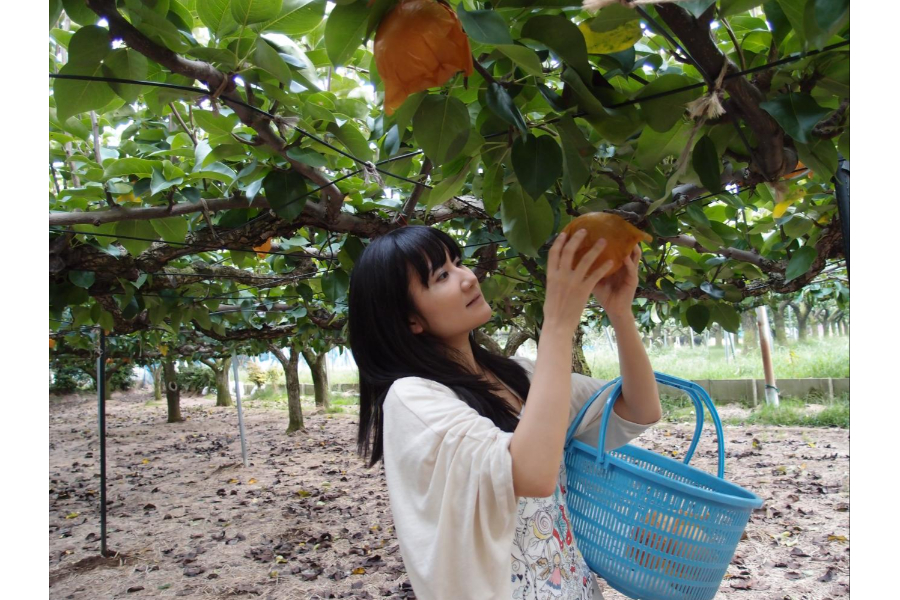 ▲もぎとる前に、たわわに実ってるかどうかをチェック。