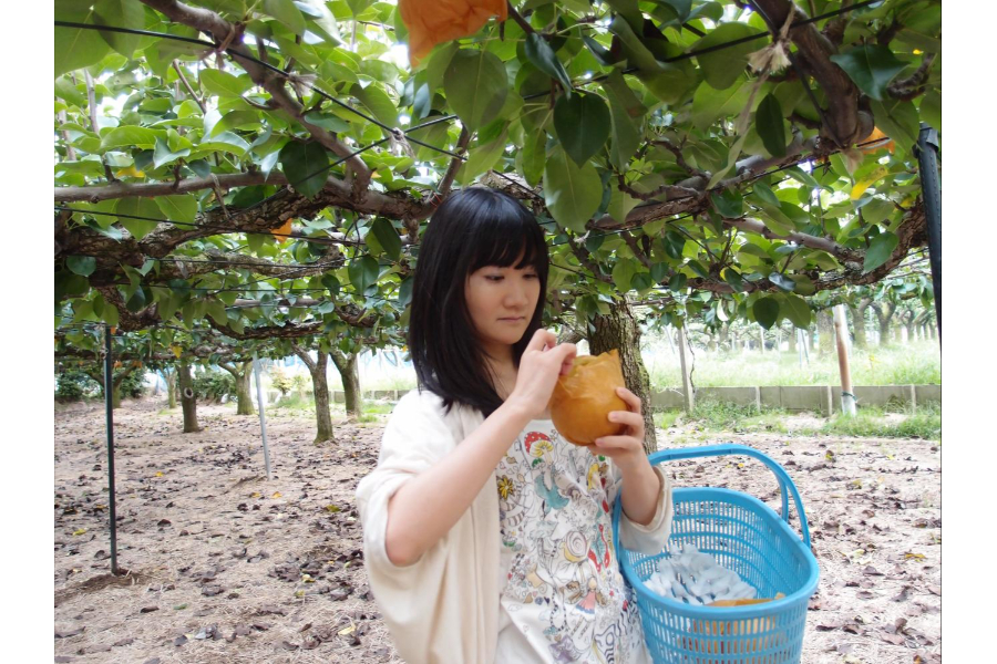 ▲もいで袋を剥くと……、