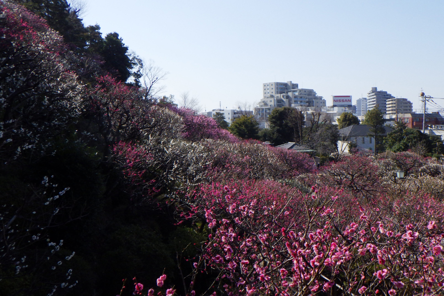 ▲写真提供:大田区