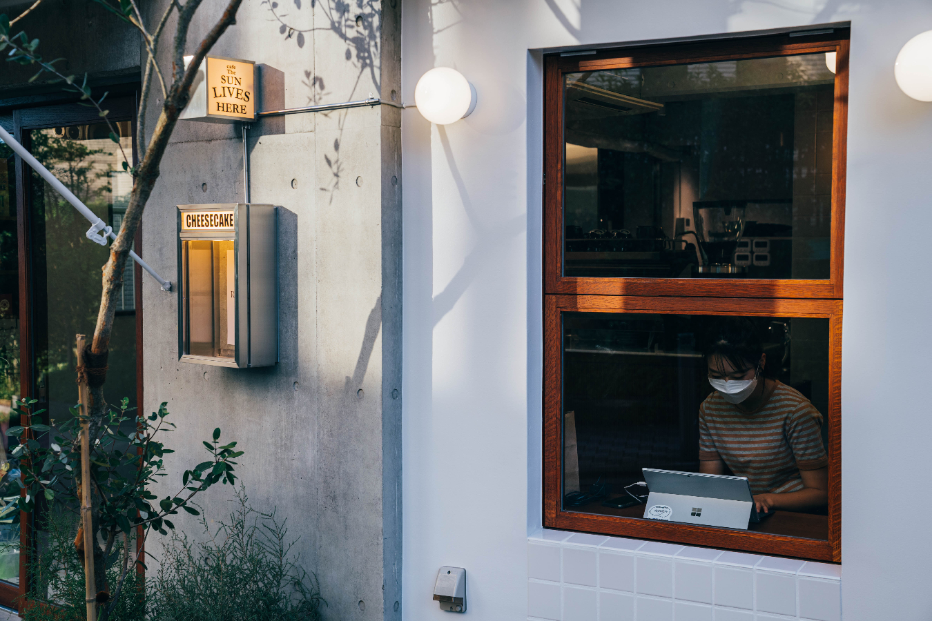 ▲写真提供:cafe The SUN LIVES HERE