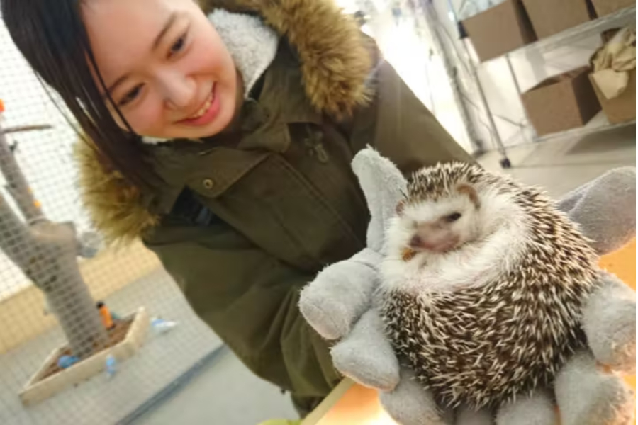 出典:アソビュー