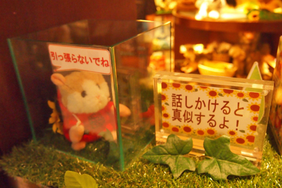 ▲電池を使う、子どもに人気のありそうなおもちゃも。話しかけてみたけど、機嫌が悪かったのか無反応。さみしい