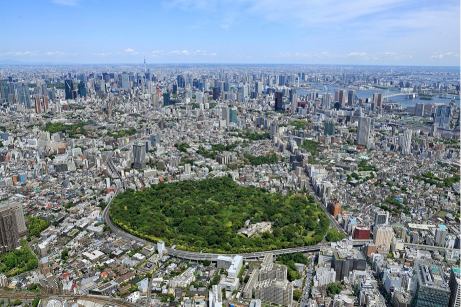 写真提供:国立科学博物館附属自然教育園