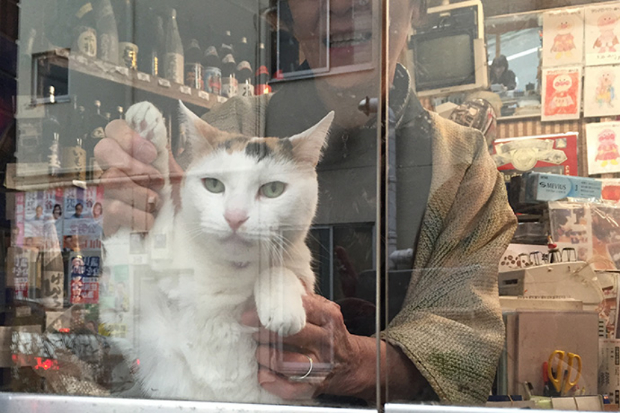 ▲最後にお店の外から。無理矢理の招き猫で、この表情。