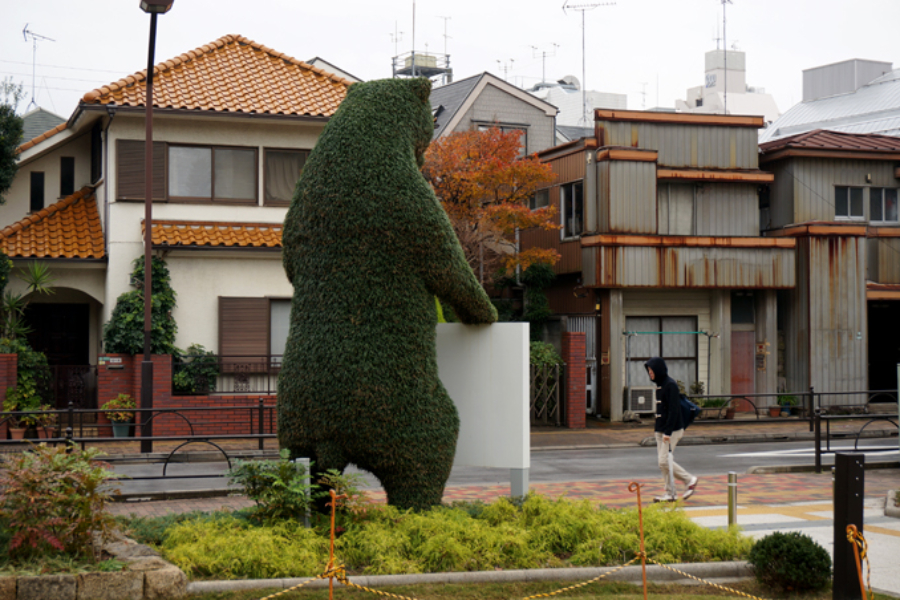 ▲入り口にあるタマリュウという植物を植え込んだ《クマ》(鞍掛純一)は、世界最大といわれるホッキョクグマ(3メートル)もびっくりの全長4メートル!